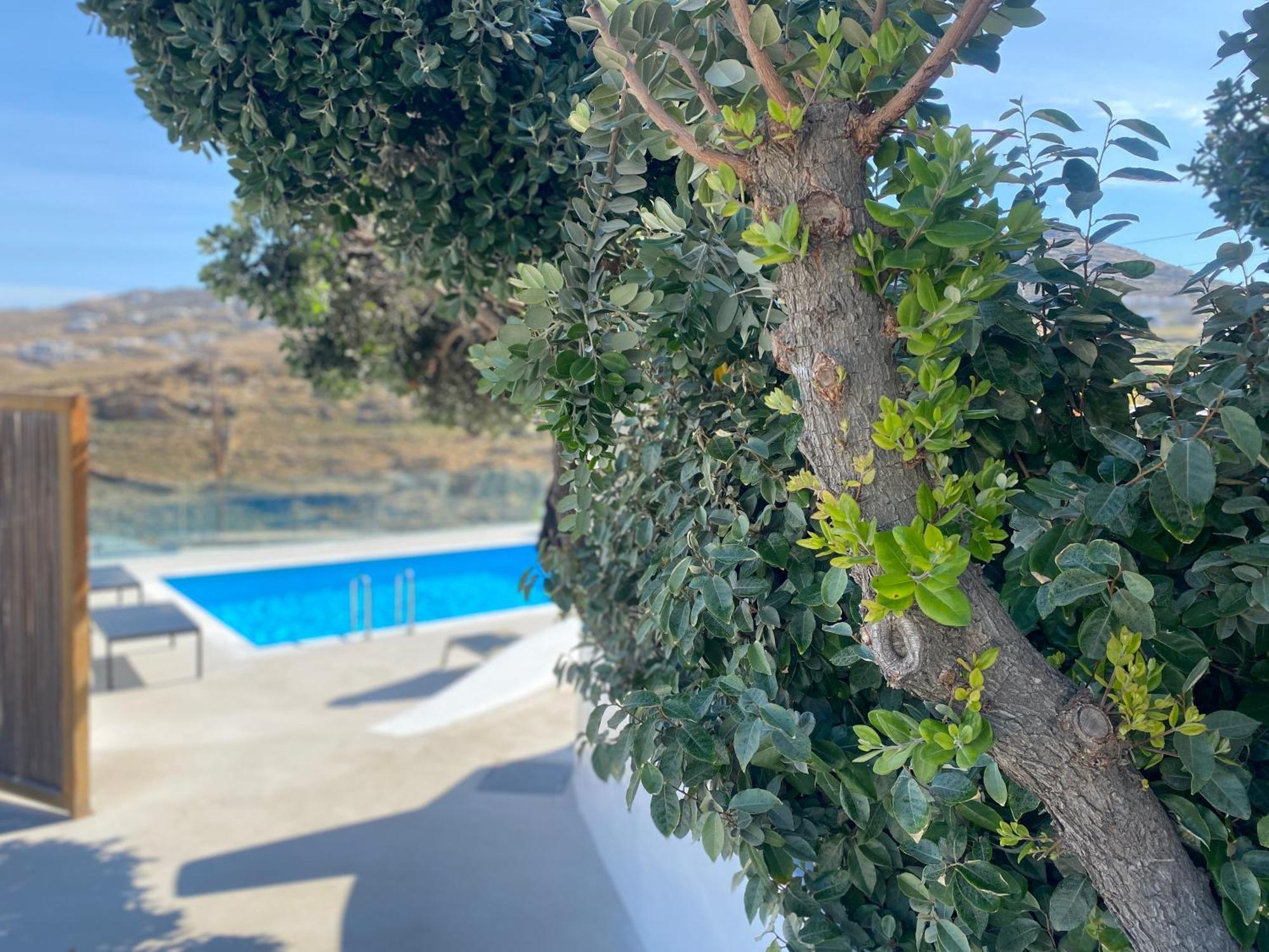 Ftelia Beach Paradise - Villa Irina'S Oasis Ftelia (Mykonos) Exterior foto
